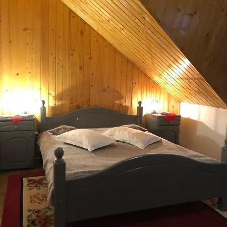 Gasthuis Rem's Rîşnov